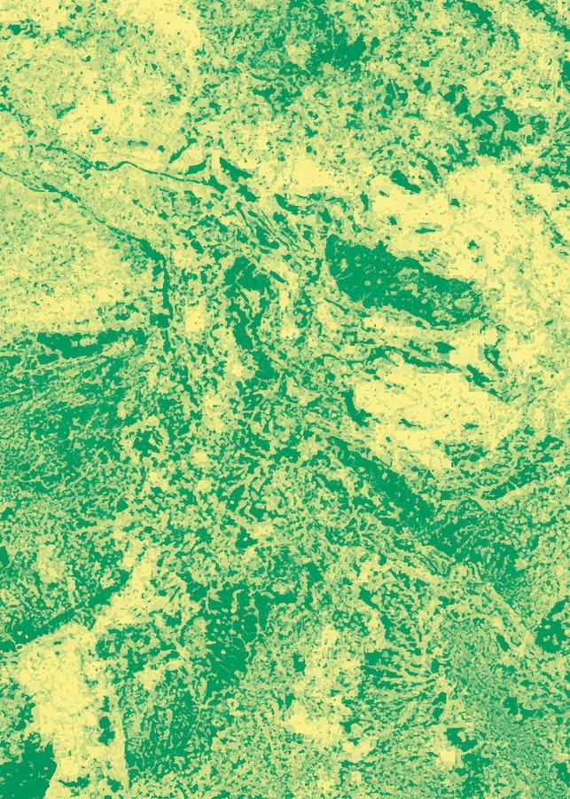 Wald- und Gehölzfläche